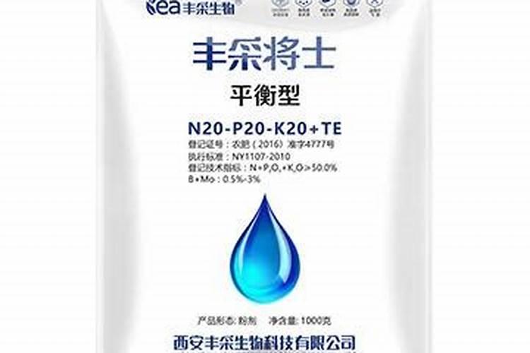 哈密瓜种子怎么种