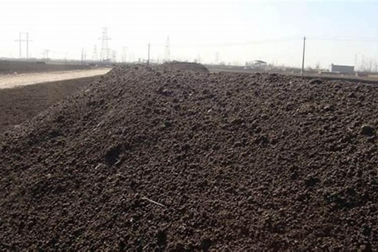 牡丹花施肥方法