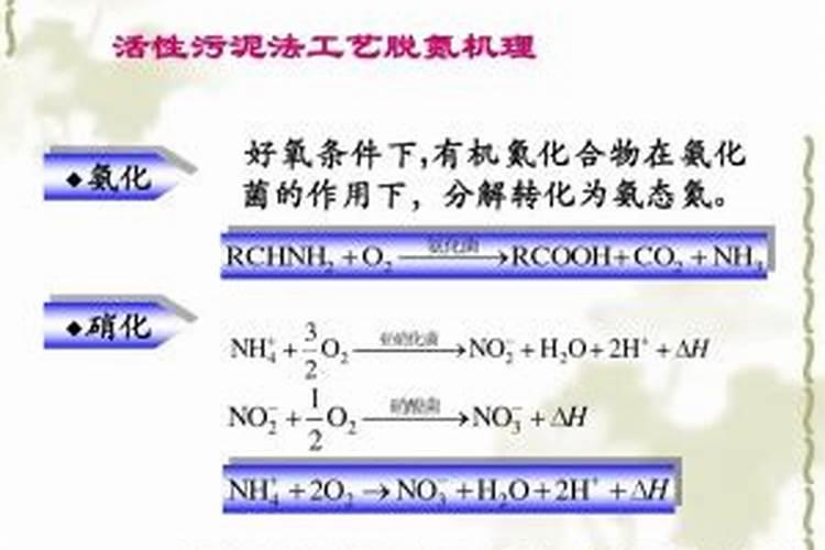 什么是腐植酸肥料