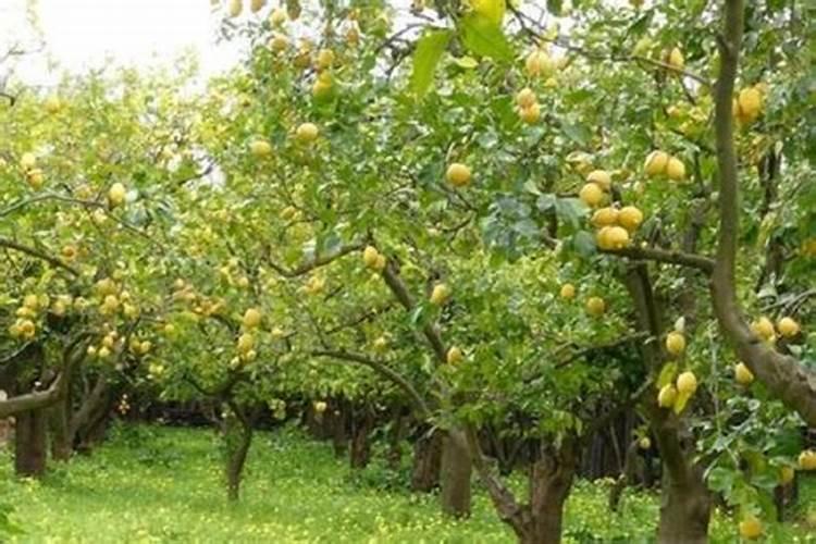 国际品牌干洗店排名