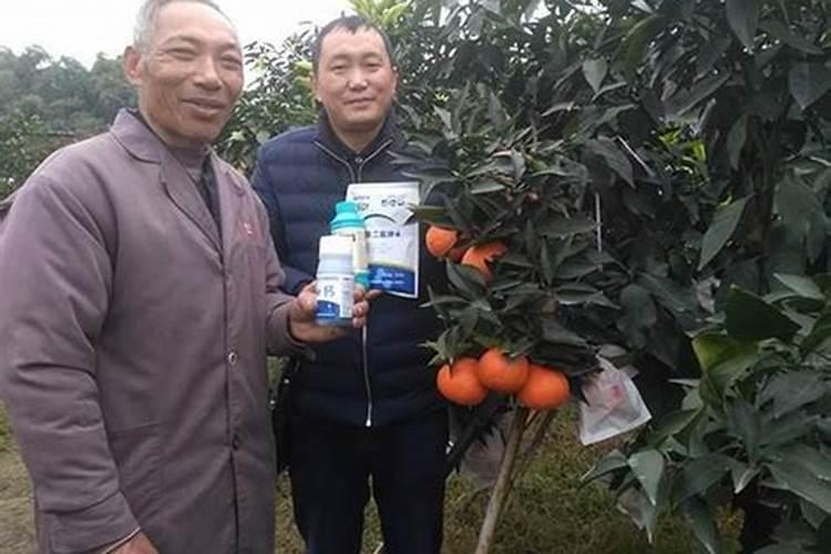 锌肥有什么作用