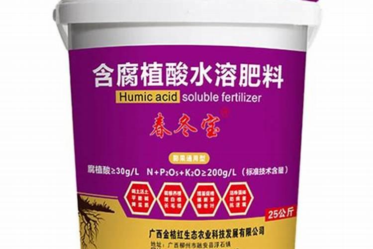 金桔用什么肥料最好最旺产量