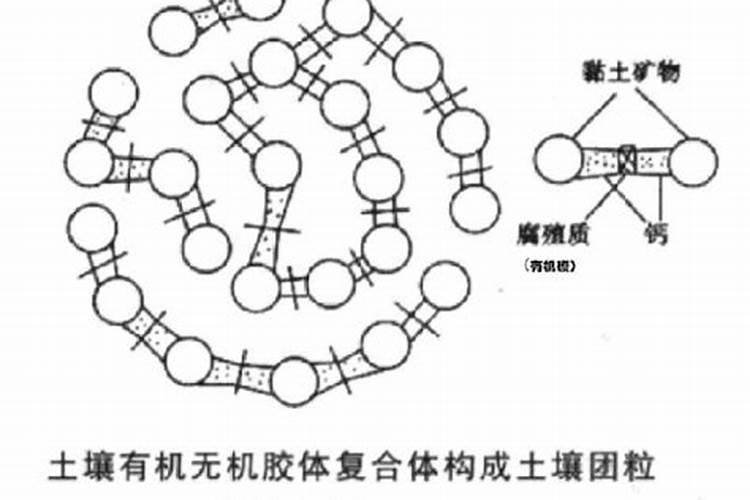 氮肥叶面喷施的作用