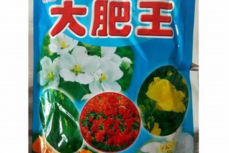 运城地区种植小麦磷应该用多少