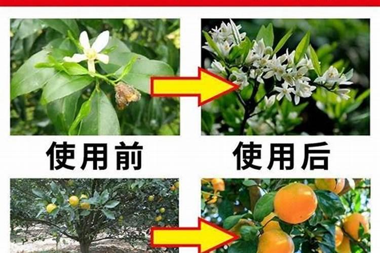 底肥可以用矿源黄腐酸钾吗？底肥怎么用效果好？