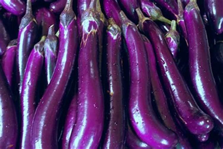 茄子挂果后施什么肥