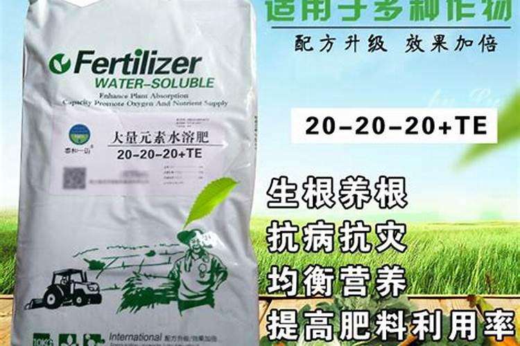 葡萄什么时间追肥？水溶肥怎么用