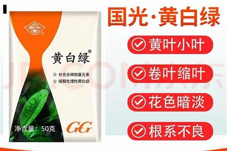 国光根宝使用方法