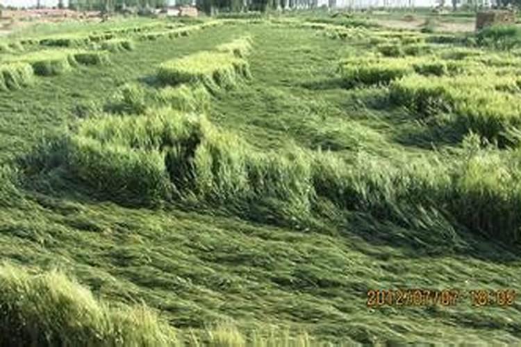 农民怎样购买化肥不亏呢？