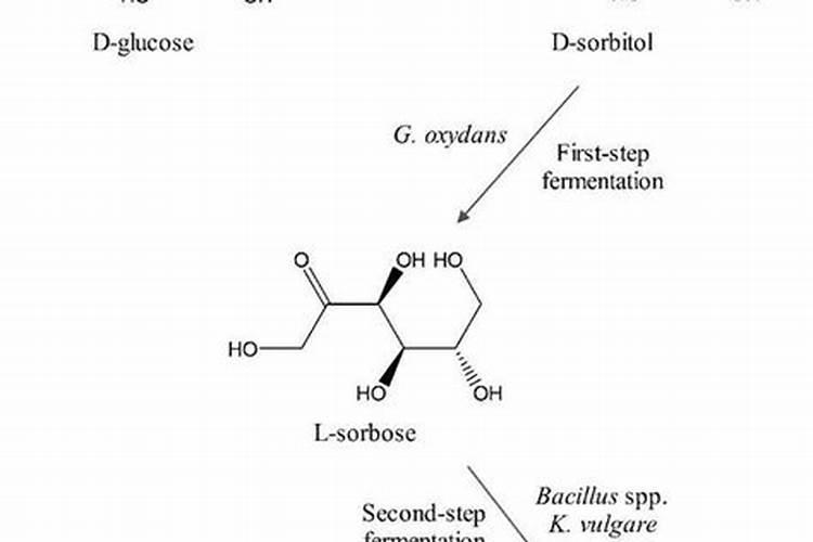 请问一下。发酵猪粪应该怎么发酵呢。