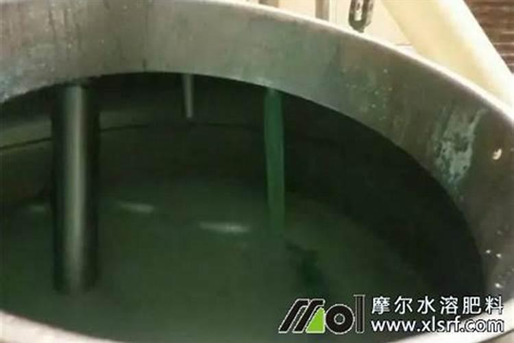 黑花生的种植技术 花生管理要点