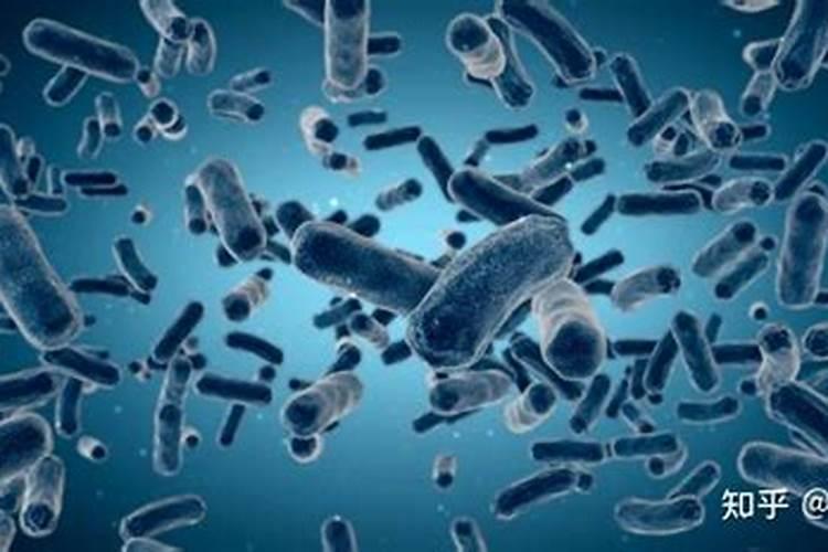 家中养花氮肥怎么来呢？除了购买还能自己做。