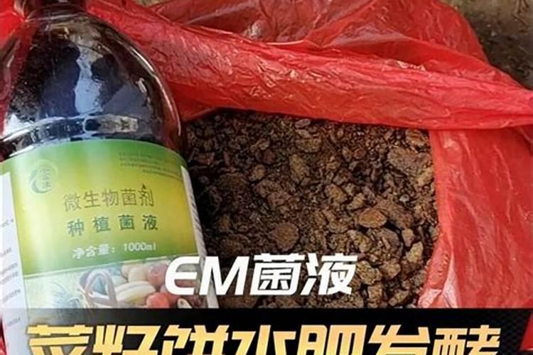 栀子花用什么肥料最好