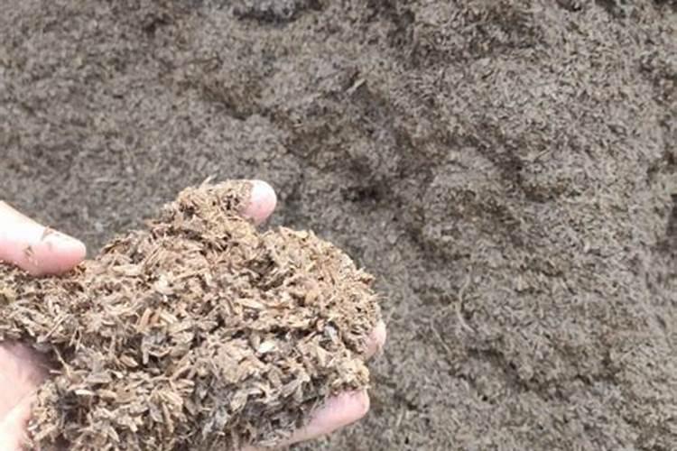 辣椒果树施肥方法和时间 辣椒果树怎么施肥