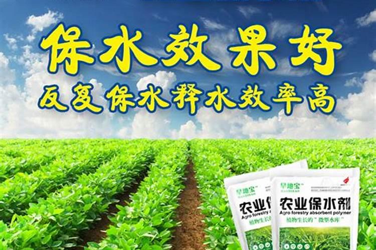 水库蓝藻绿藻太多怎么治理？