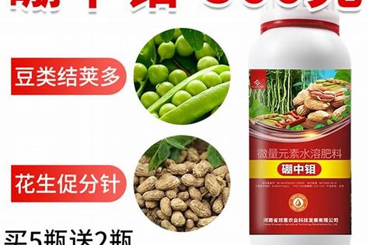 果树施什么肥料最好