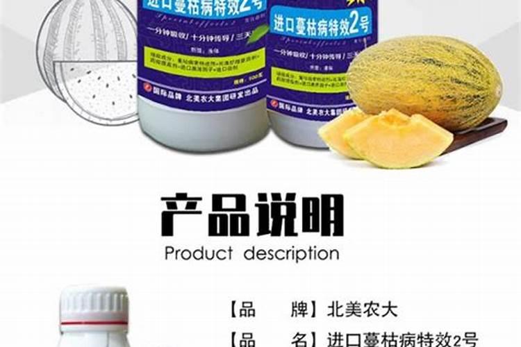 香瓜秧叶片怎么回事？