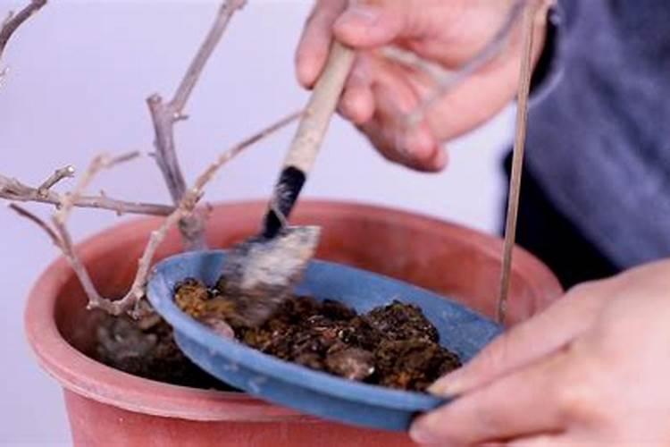 复合肥十大名牌有哪些