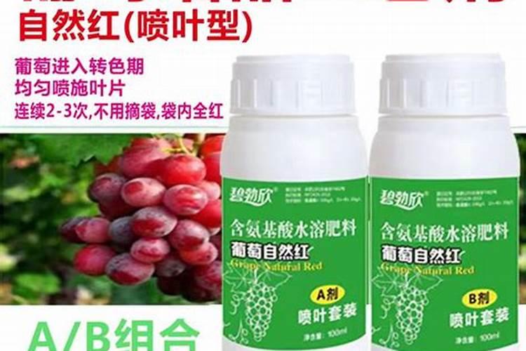 请问老师葡萄催红什么药快？