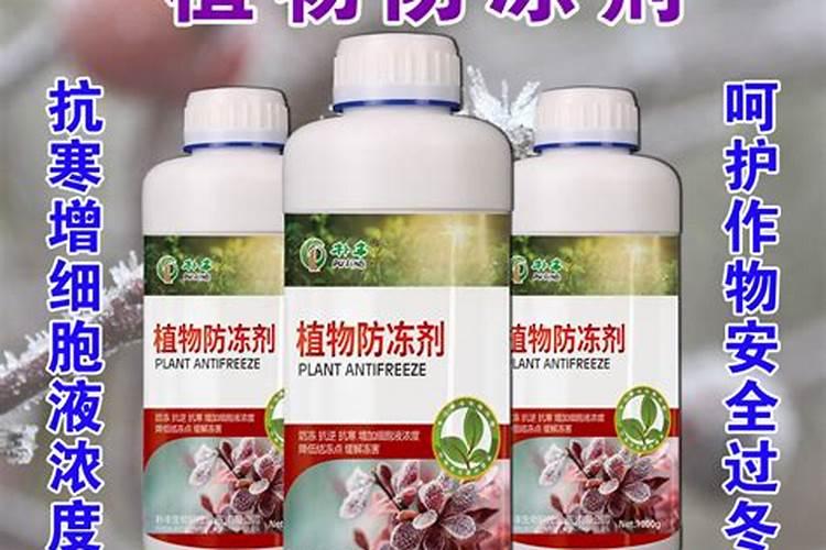 向日葵最适合什么土壤？