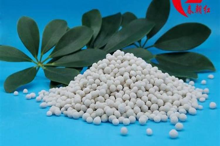 金钱树用什么肥料