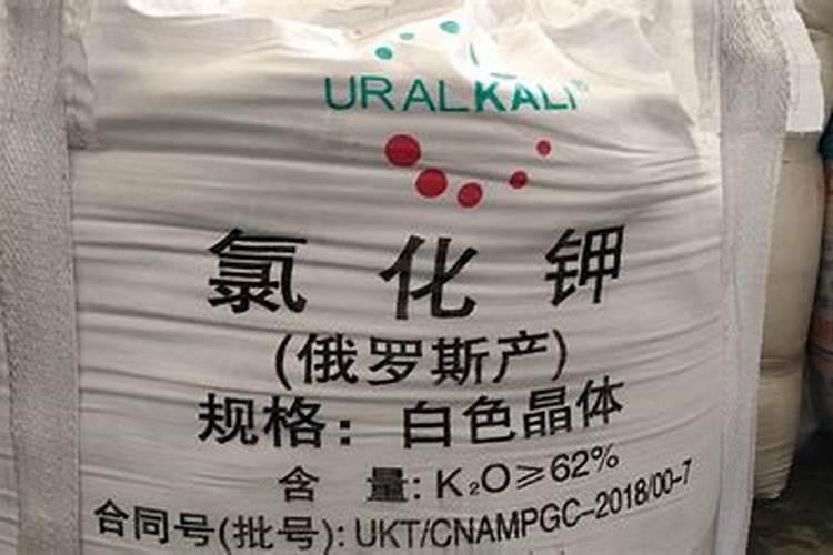 如何给小麦施钾肥？
