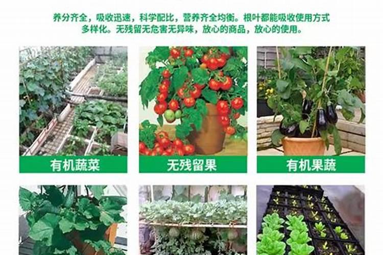 苦瓜追肥用什么肥料好