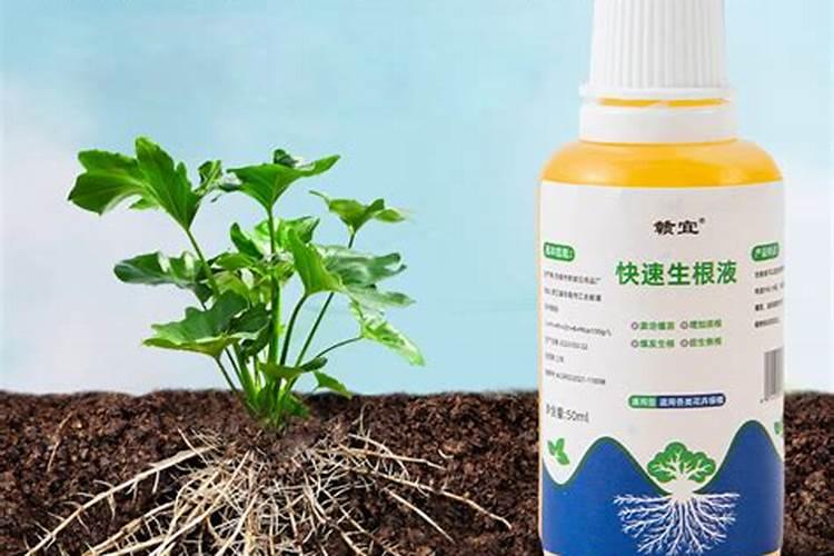 纯硫酸钾能单独浇甜瓜吗？