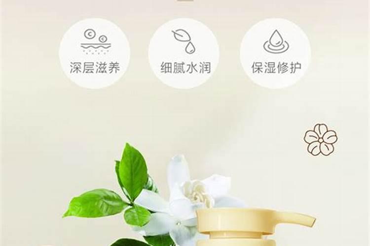 水栀子种植管理