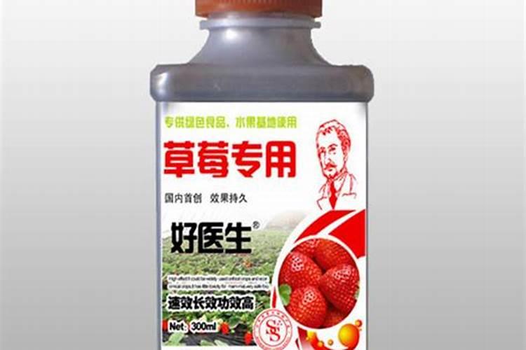 草莓专用肥是什么肥料,草莓施入氮磷钾肥的作用