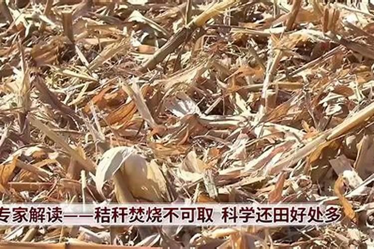 平衡肥是复合肥吗