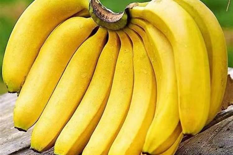 香蕉一般施什么肥