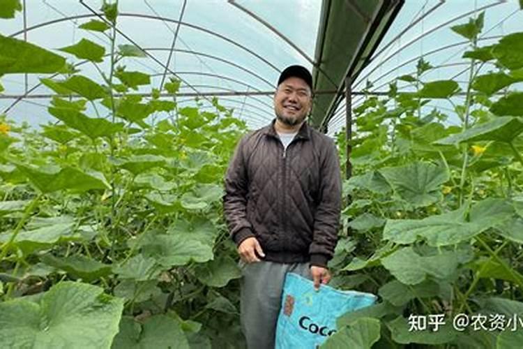 海棠花用什么水浇