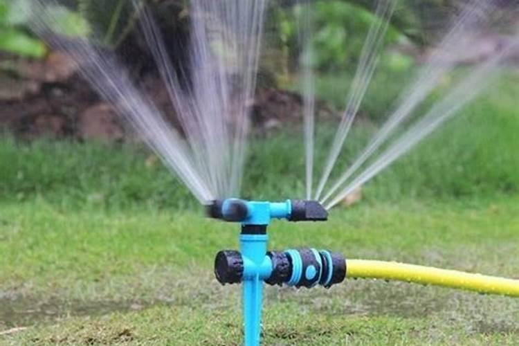 水溶肥怎么用效果才最好