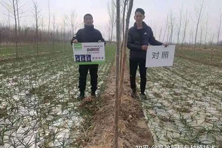 康仆硼肥叶面肥怎么兑水