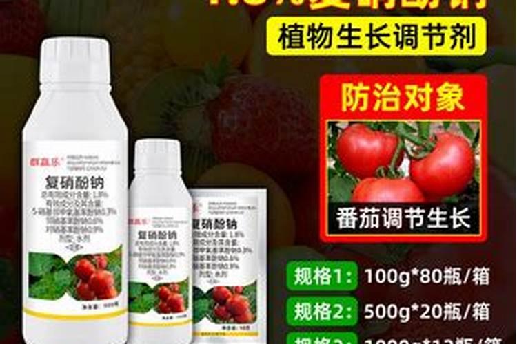 月季花怎么施肥,月季花施什么肥好？