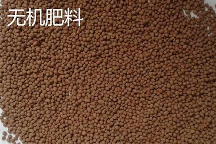 天脊硝酸磷肥肥效多久