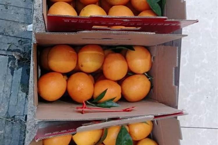 硝酸铵钙能施脐橙幼苗吗