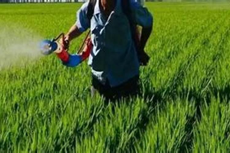 硅肥的施用范围？