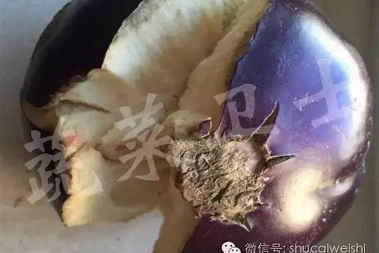 灰霉病用什么药治疗效果好