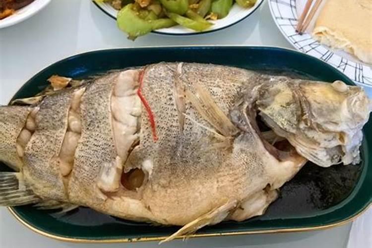 桂花鱼和鲈鱼哪个营养价值高 桂花鱼对伤口愈合有好处吗
