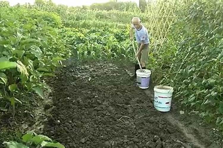 水溶肥灌根使用方法