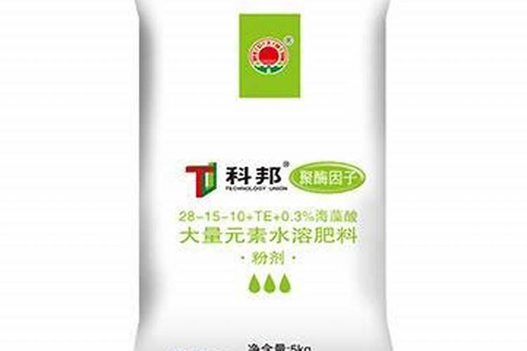 玉米施什么肥料最好