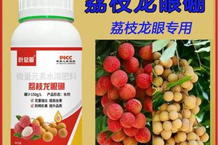 桂味荔枝打什么药催花