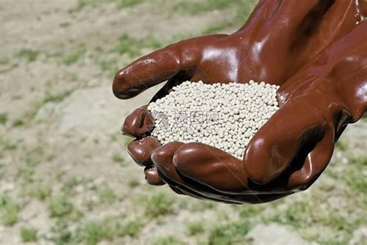 硝酸盐是什么肥料