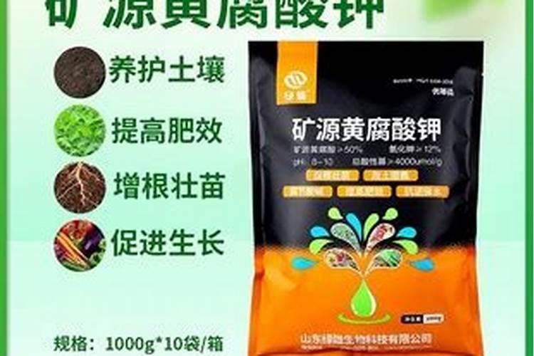 长寿花施肥方法 要注意什么