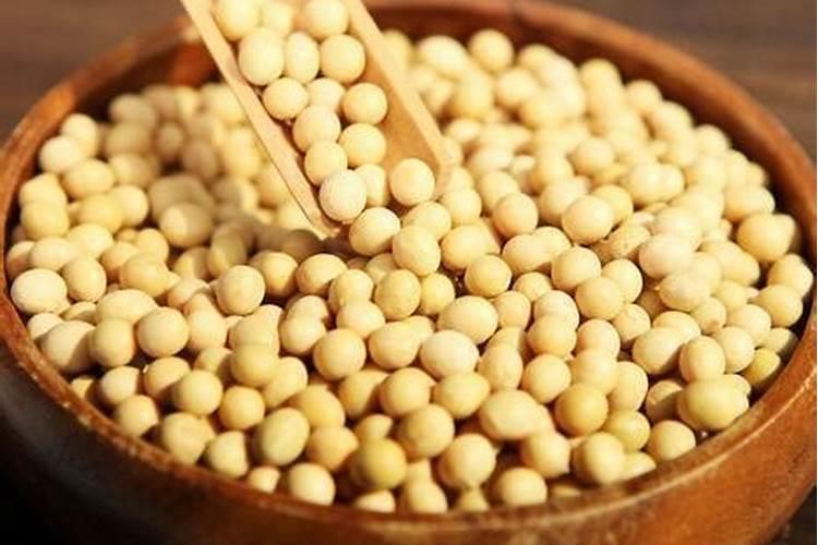 有哪些花不能用黄豆肥