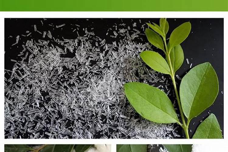 果树增甜用什么肥料？