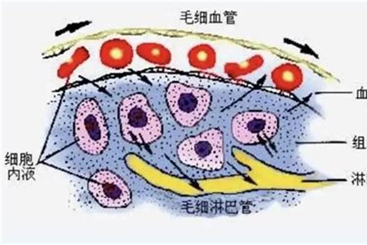 苹果树打药页面肥先放还是后放