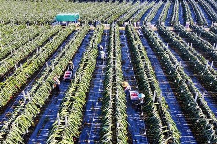 农业施肥机械液态施肥机液体有机肥罐车